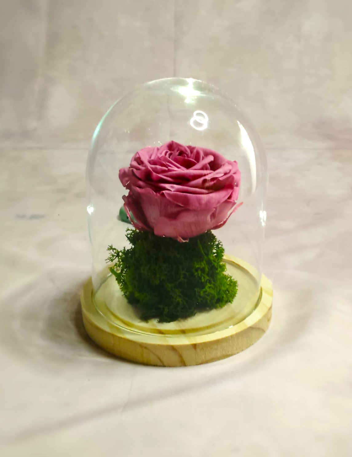 Cúpula de cristal de rosa eterna.