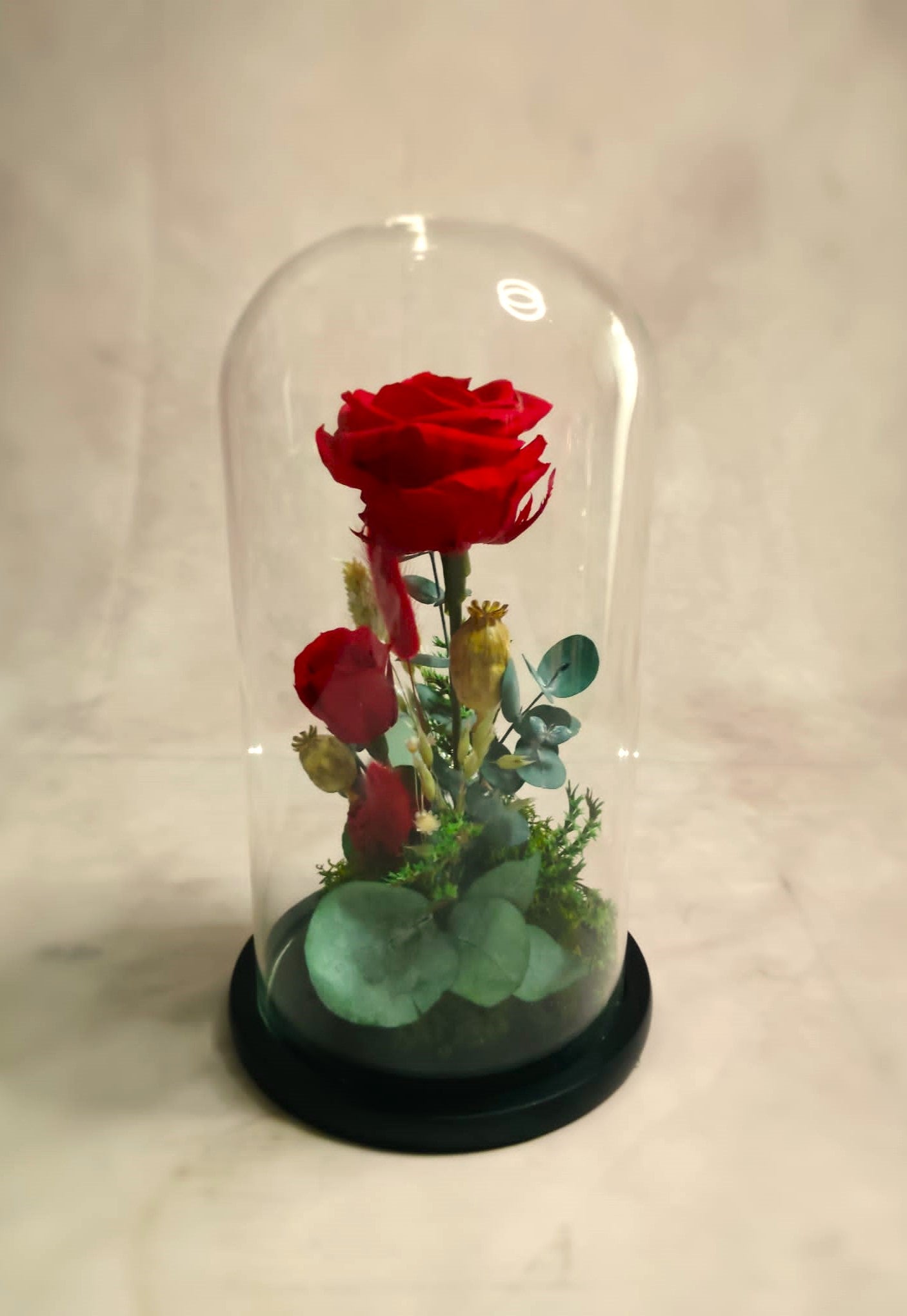 Cúpula de cristal de rosas eternas.