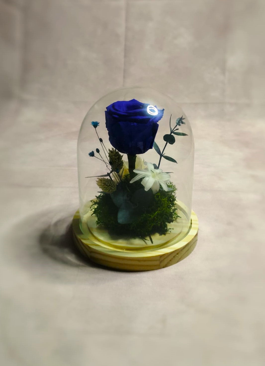 Cúpula de cristal de rosa eterna