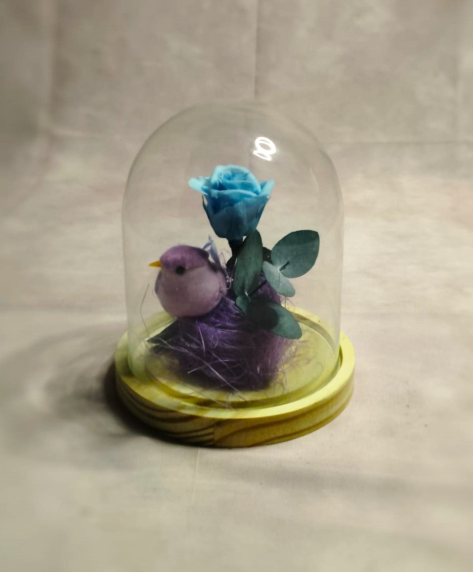 Cúpula de cristal de rosa eterna.