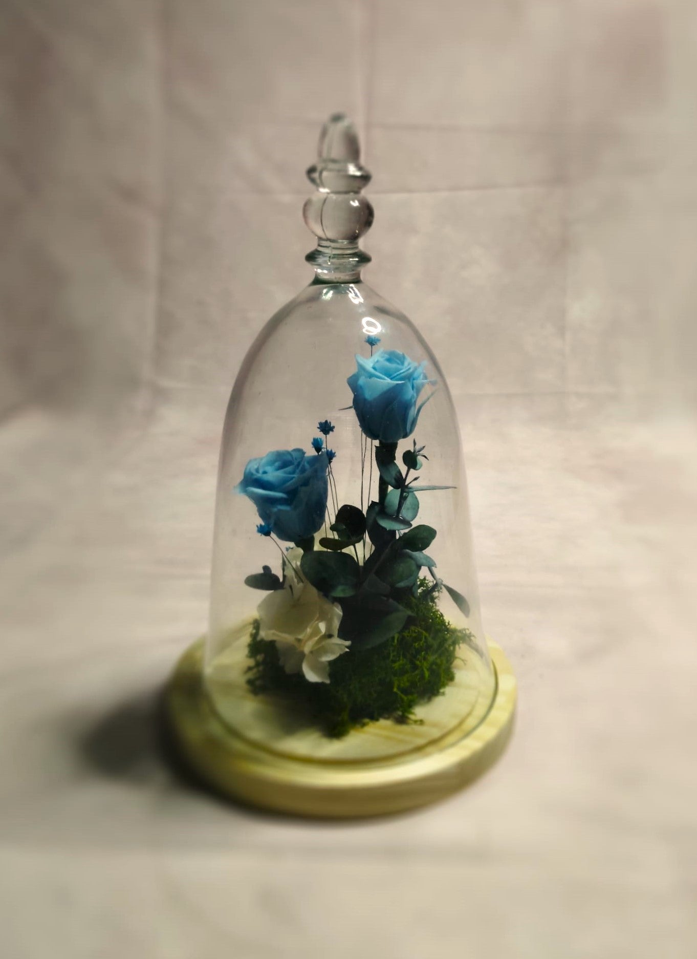 Cúpula de cristal de rosas eternas