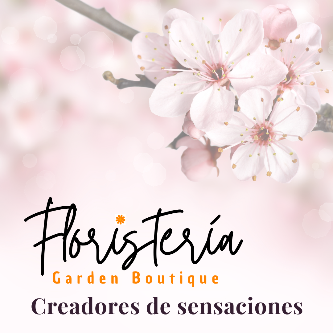 a. CREADORES DE SENSACIONES