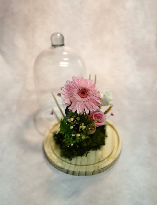 Cúpula de cristal flor preservada; " Encanto floral en cristal "