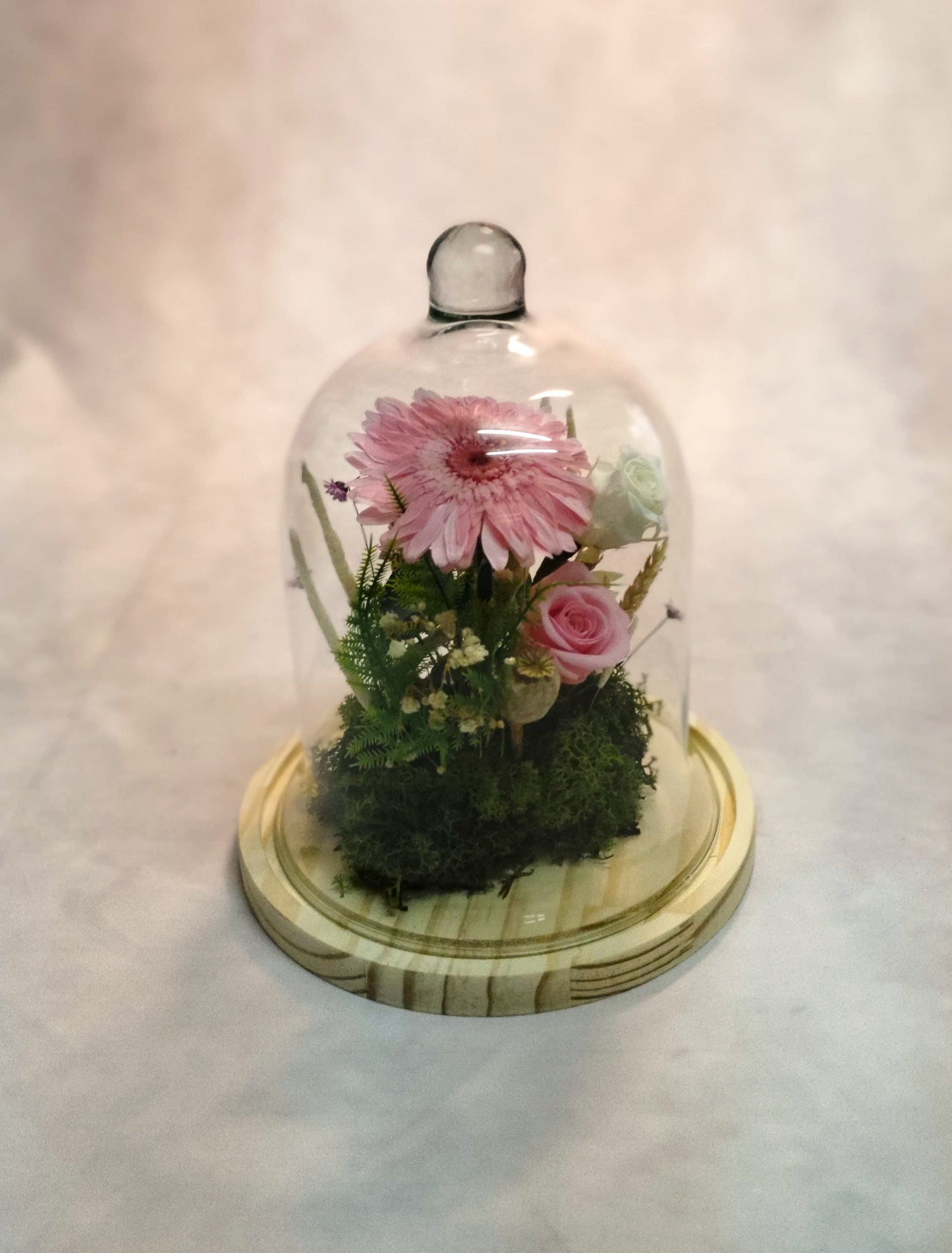 Cúpula de cristal flor preservada; " Encanto floral en cristal "