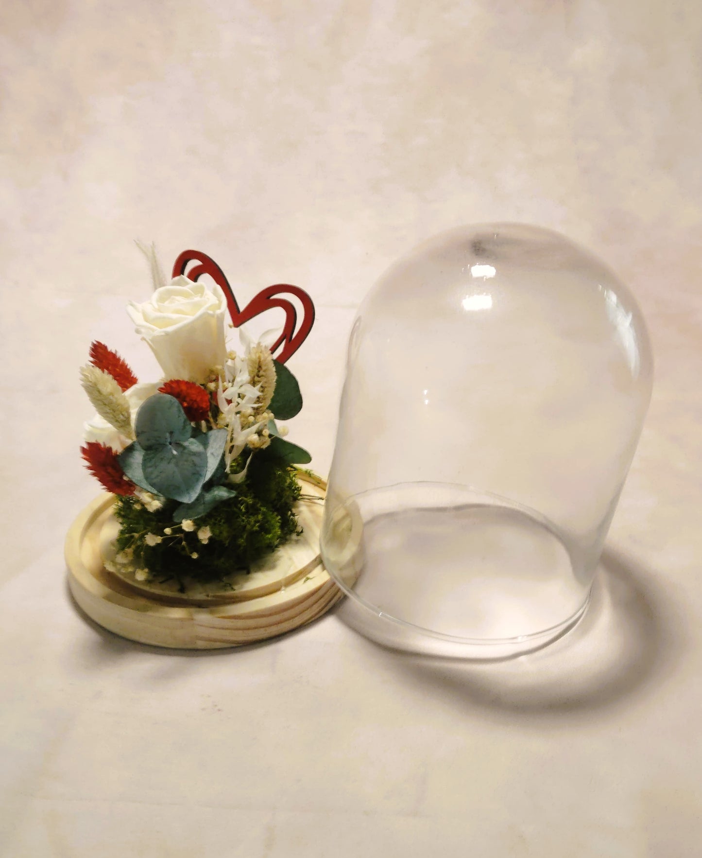 Cúpula de cristal ; " Momentos en Flor "